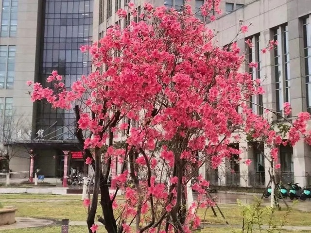 传承红色文化基因 打造文化育人高地—游览